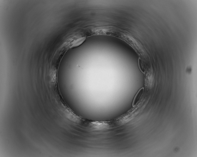 X0000098190477200805011128
