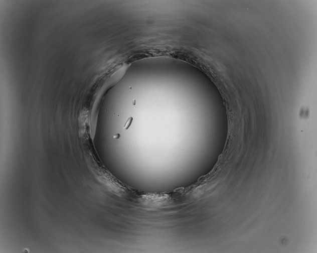 X0000098190480200805011128