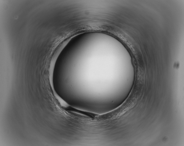 X0000098190481200805011127