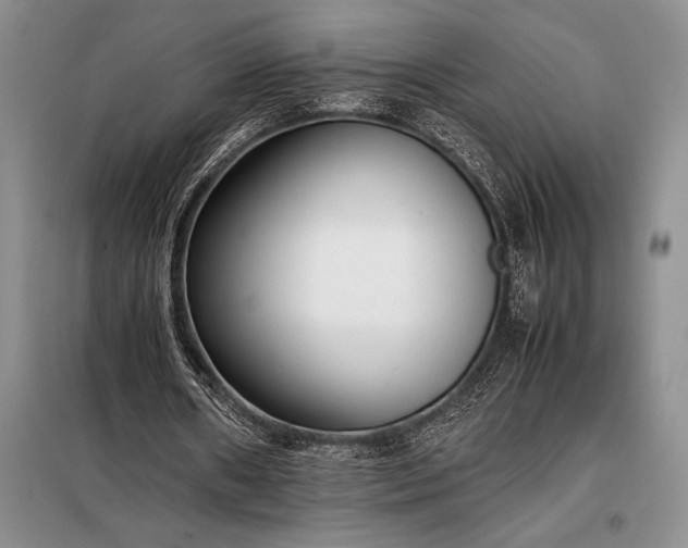 X0000098190482200805011127