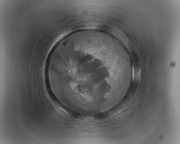 X0000098190483200805011127