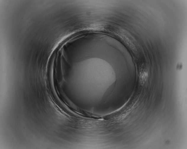 X0000098190484200805011127