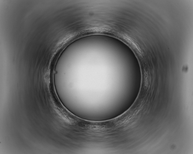 X0000098190486200805011127