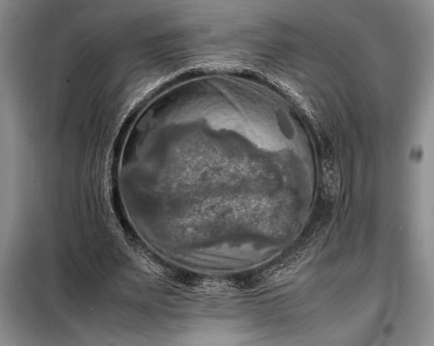 X0000098190487200805011127