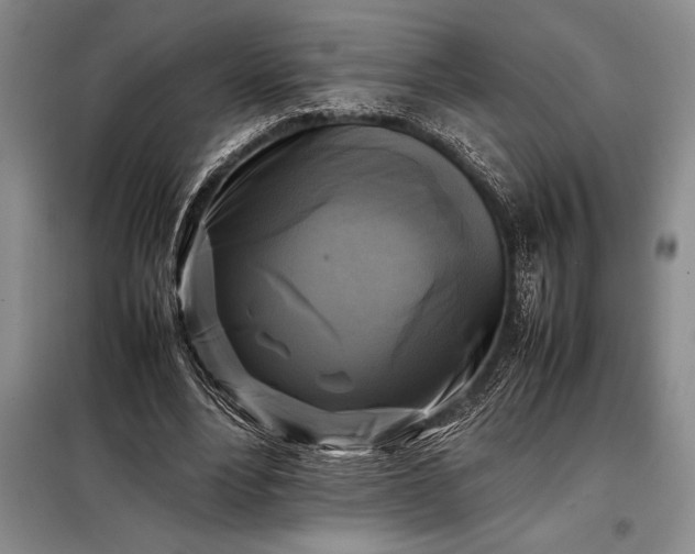 X0000098190488200805011126