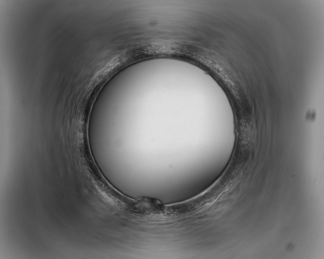 X0000098190489200805011126