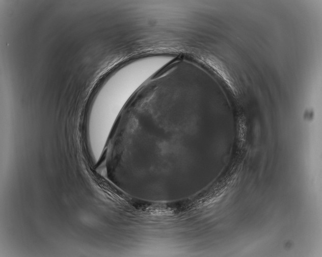 X0000098190491200805011126