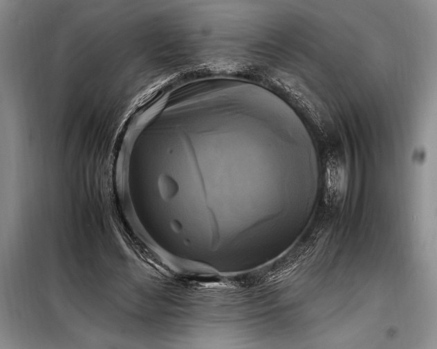 X0000098190492200805011126