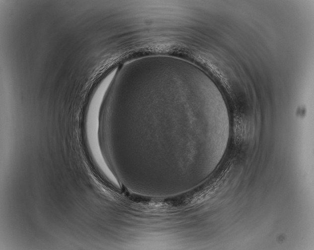X0000098190493200805011126