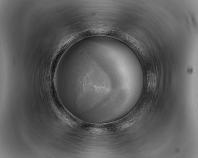 X0000098190494200805011126