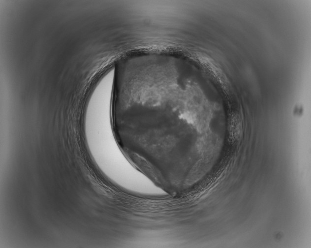 X0000098190495200805011126