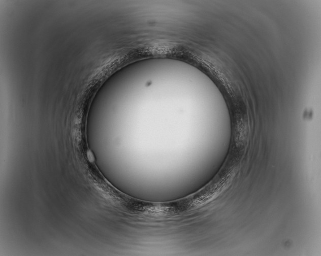 X0000098190497200805011126