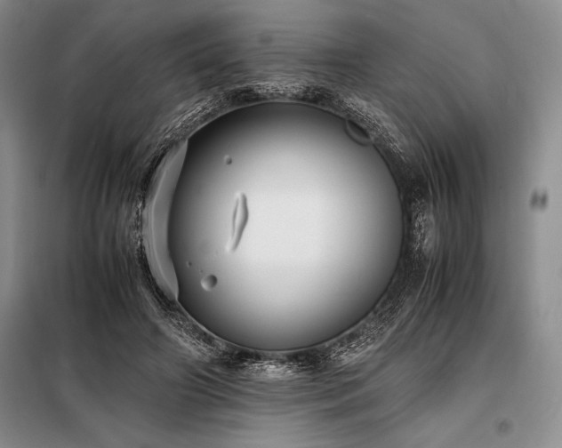 X0000098190498200805011126