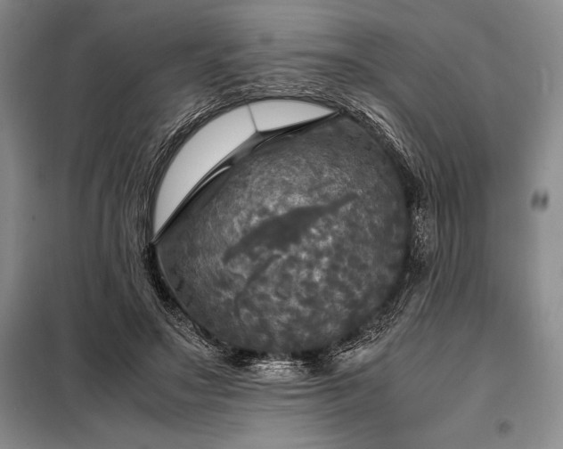 X0000098190499200805011126