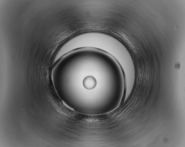 X0000098190500200805011126