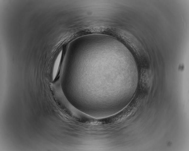 X0000098190501200805011126