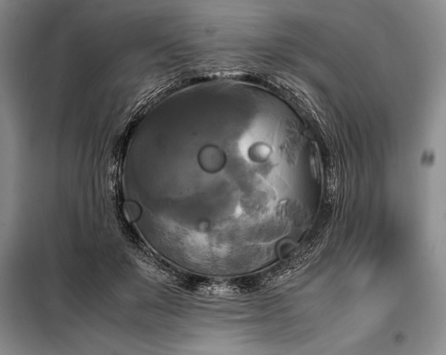 X0000098190503200805011126