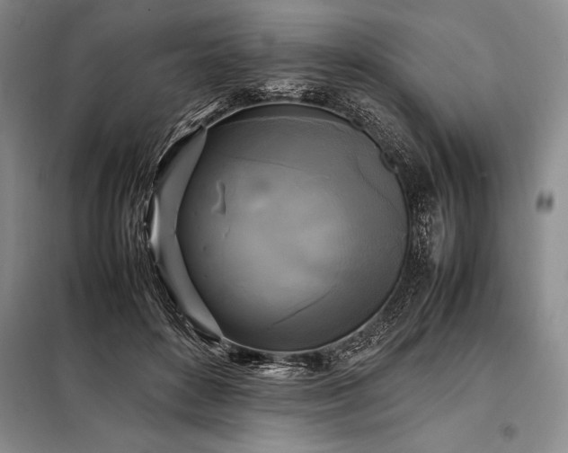 X0000098190504200805011126