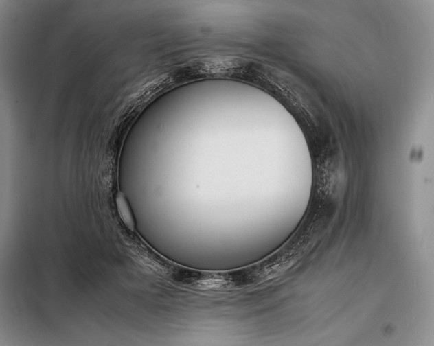 X0000098190505200805011126