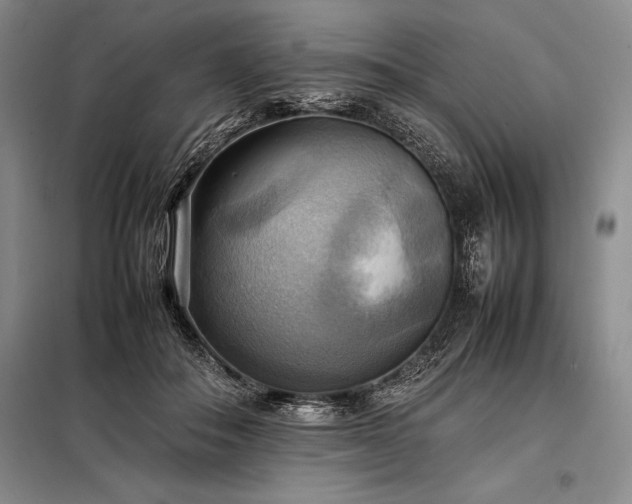 X0000098190506200805011126