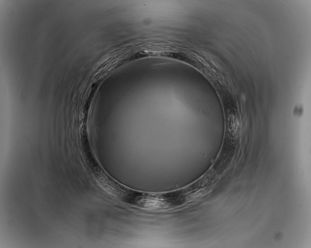 X0000098190507200805011126