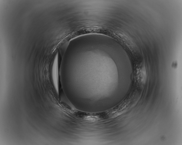 X0000098190508200805011126