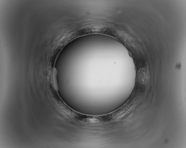 X0000098190509200805011126