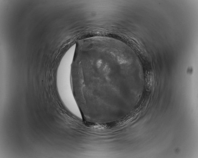 X0000098190511200805011126