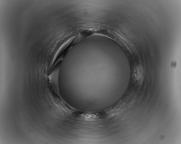 X0000098190512200805011126