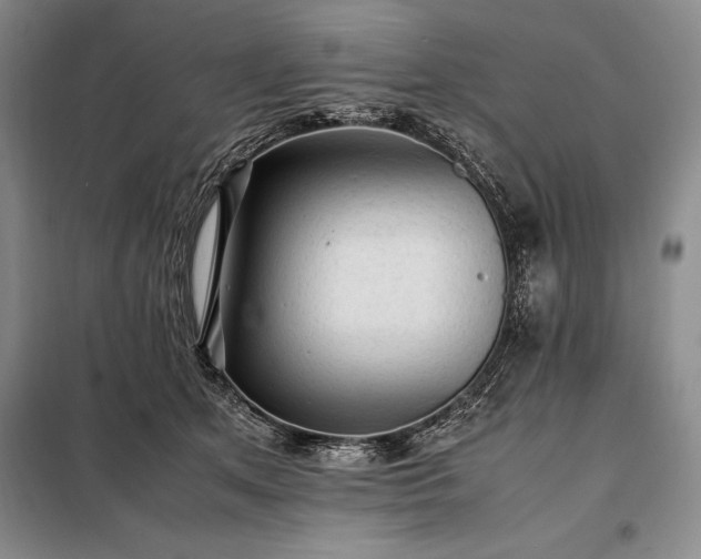 X0000098190513200805011126
