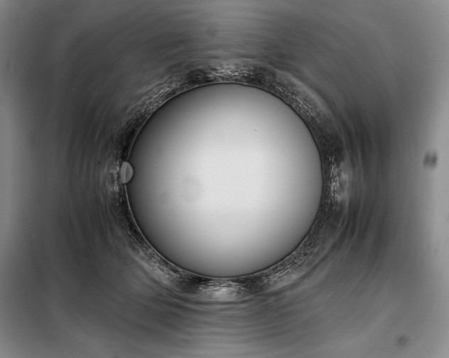 X0000098190514200805011126