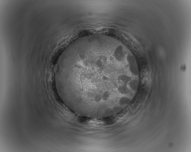 X0000098190515200805011126