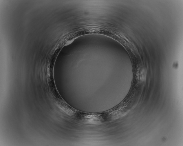 X0000098190516200805011126
