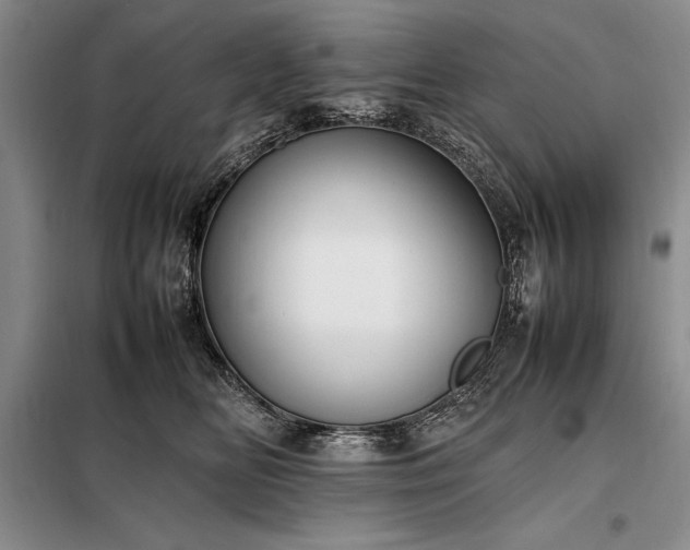 X0000098190518200805011126