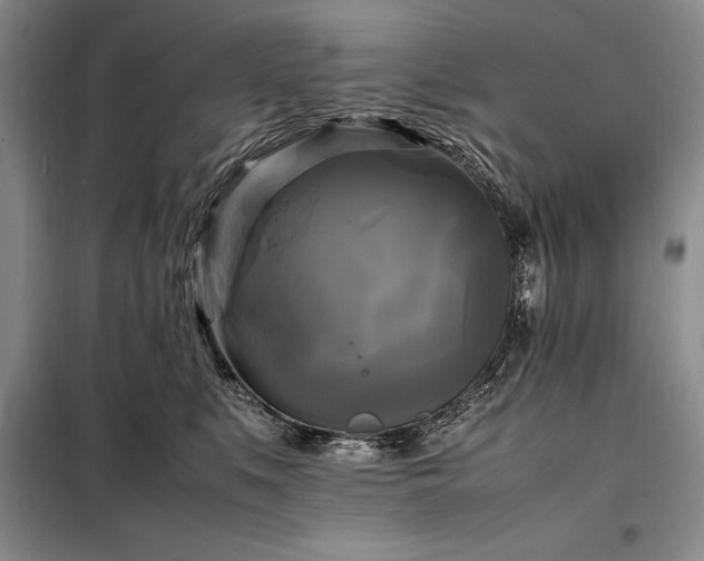 X0000098190519200805011126