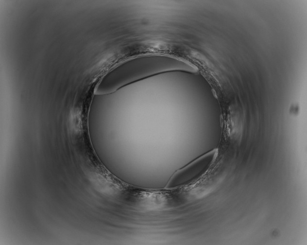 X0000098190520200805011126