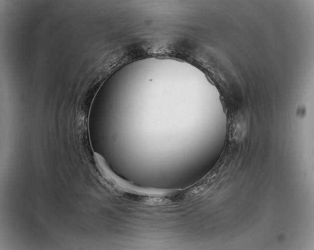 X0000098190521200805011126
