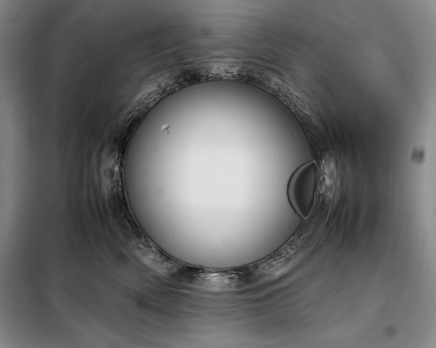 X0000098190522200805011126