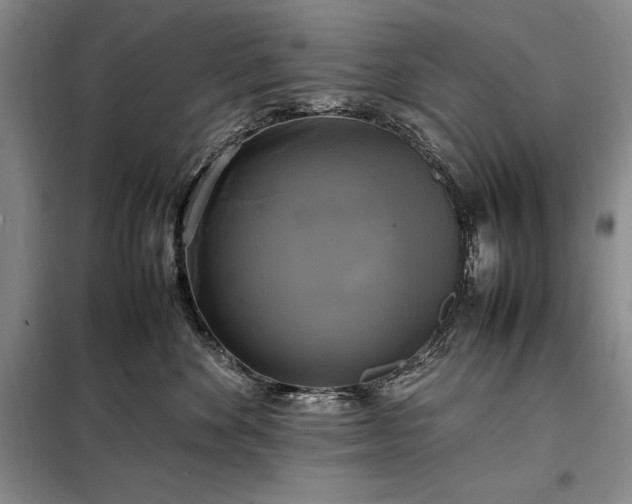 X0000098190524200805011126