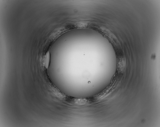 X0000098190525200805011126