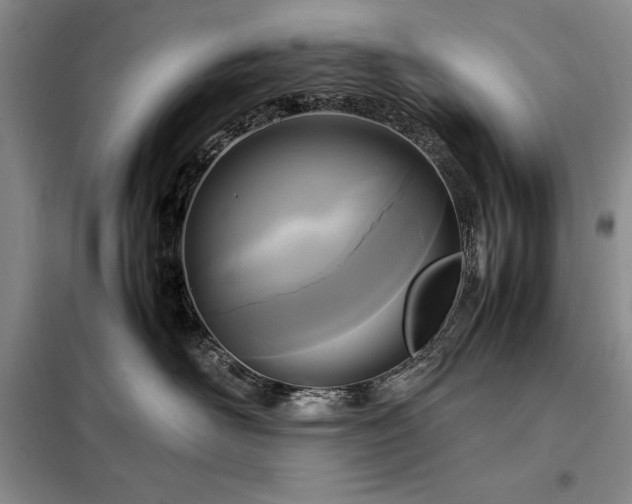 X0000098190526200805011126