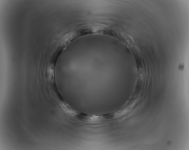 X0000098190527200805011126