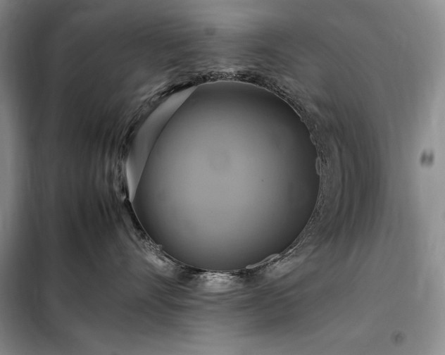 X0000098190528200805011126