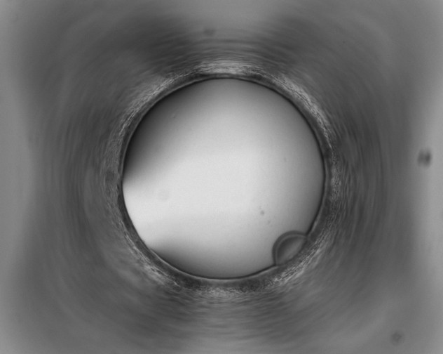 X0000098190529200805011125