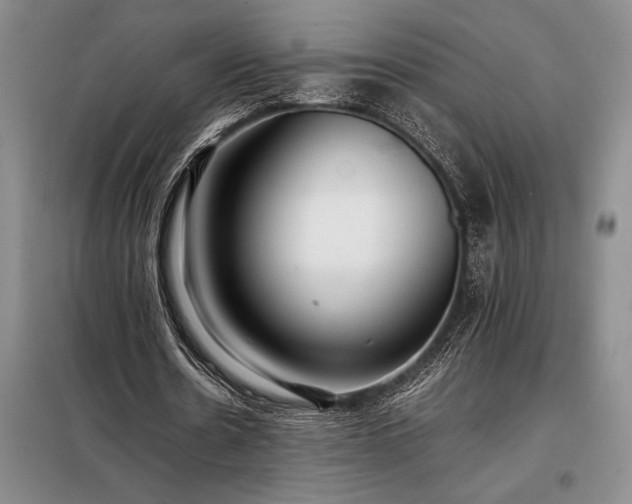 X0000098190530200805011125