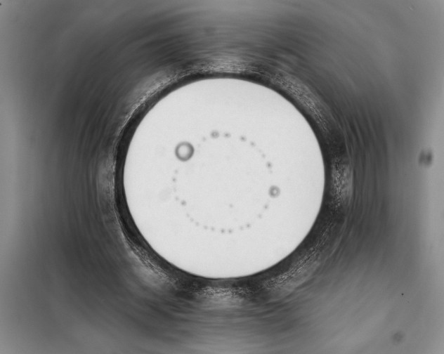 X0000098190534200805011125