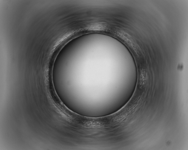 X0000098190535200805011125