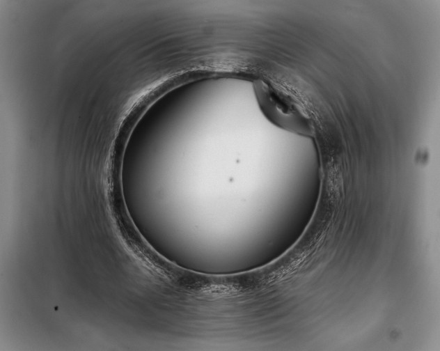 X0000098190536200805011125