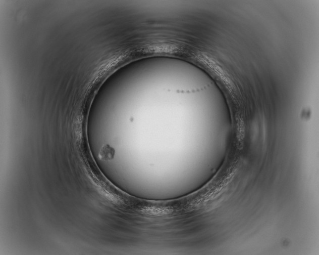 X0000098190537200805011125