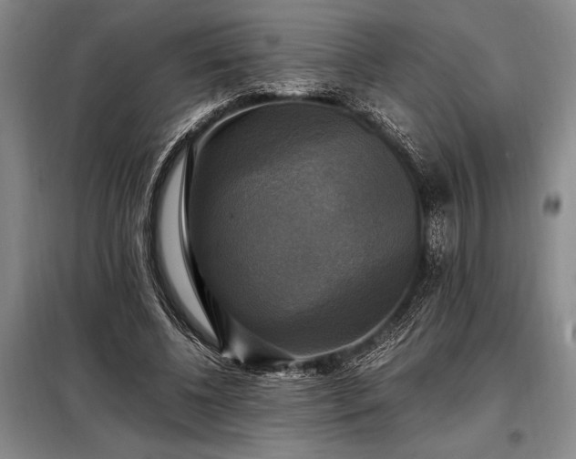 X0000098190540200805011125